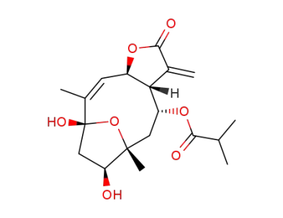 orizabin